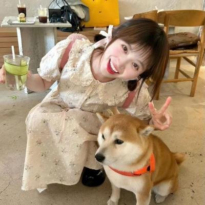 大红花